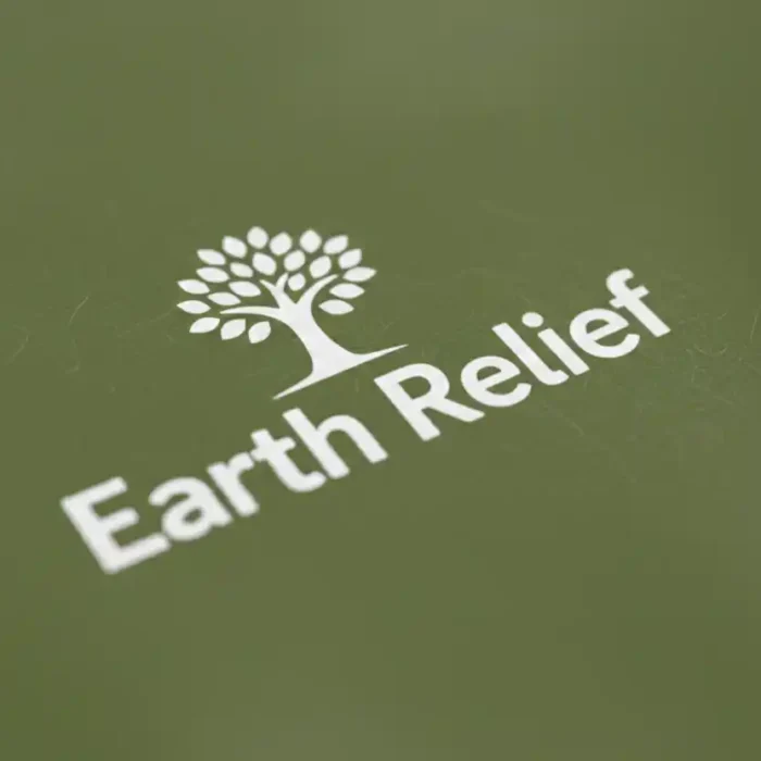 Earth Relief (3)